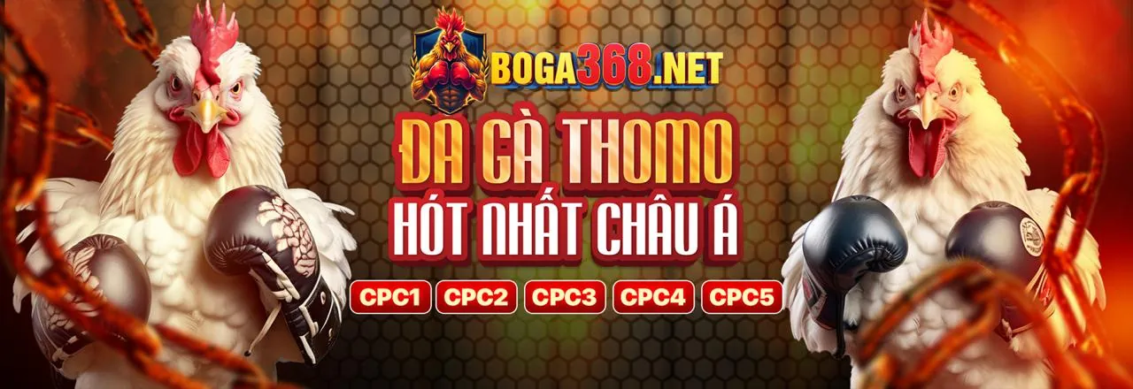Các chương trình khuyến mãi hấp dẫn tại DA67 đá gà trực tuyến